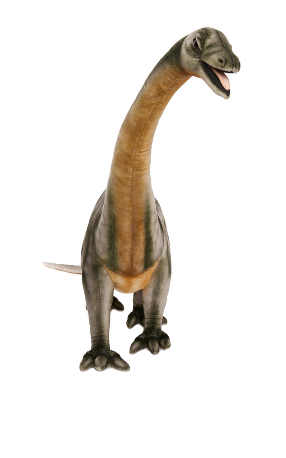 Hansa brontosaurus 23